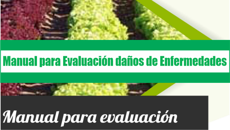 Manual para evaluación de daños de enfermedades en cultivos agrícolas